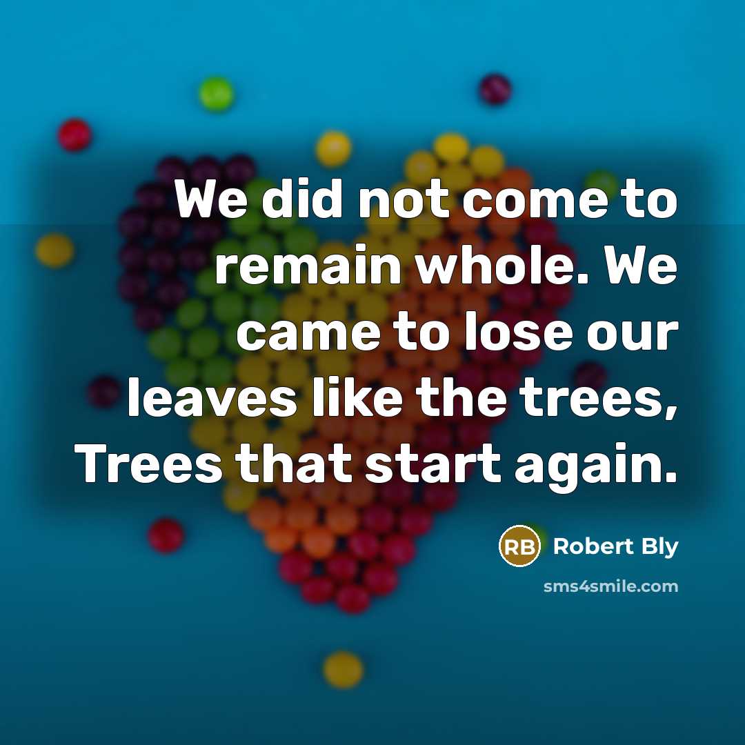 “We did not come to remain whole. We came to…” quote by Robert Bly