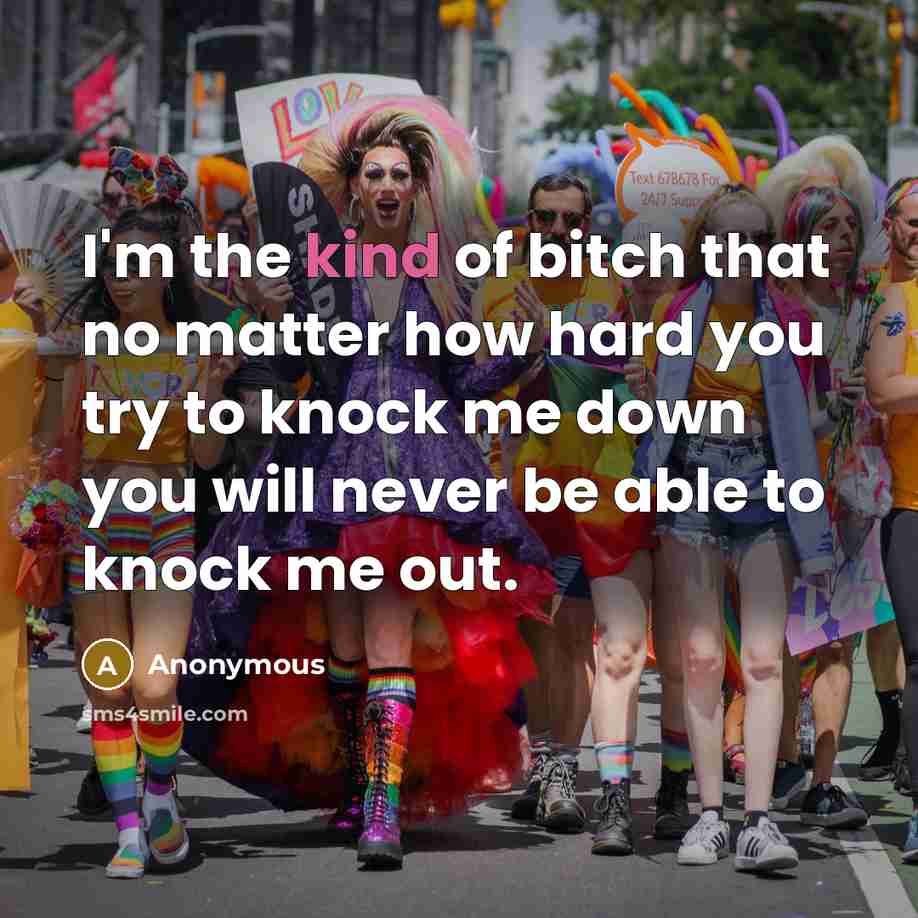 “I'm the kind of bitch that no matter how hard you try to knock me down you will never be able to knock me out.” quote by Anonymous