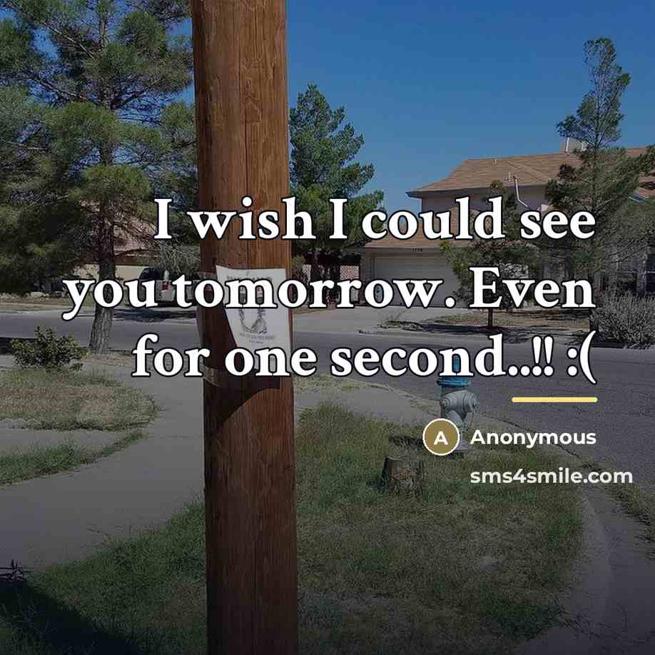 “I wish I could see you tomorrow. Even for one…” quote by Anonymous