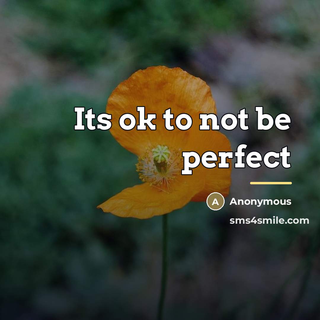 “Its ok to not be perfect…” quote by Anonymous