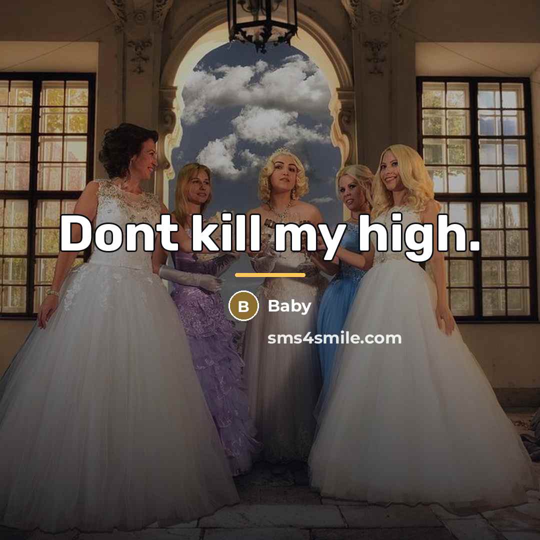“Dont kill my high.…” quote by Baby