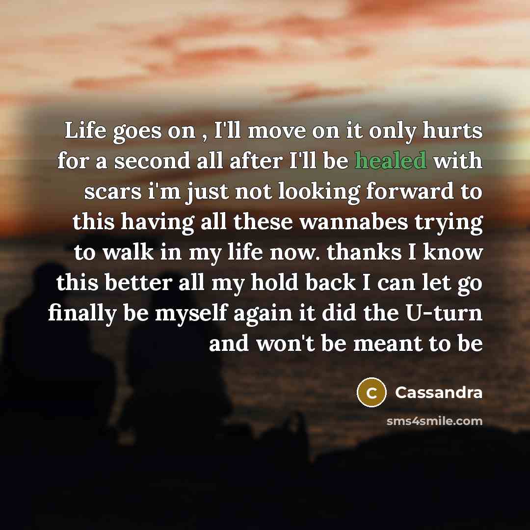 “Life goes on , I'll move on it only hurts…” quote by Cassandra