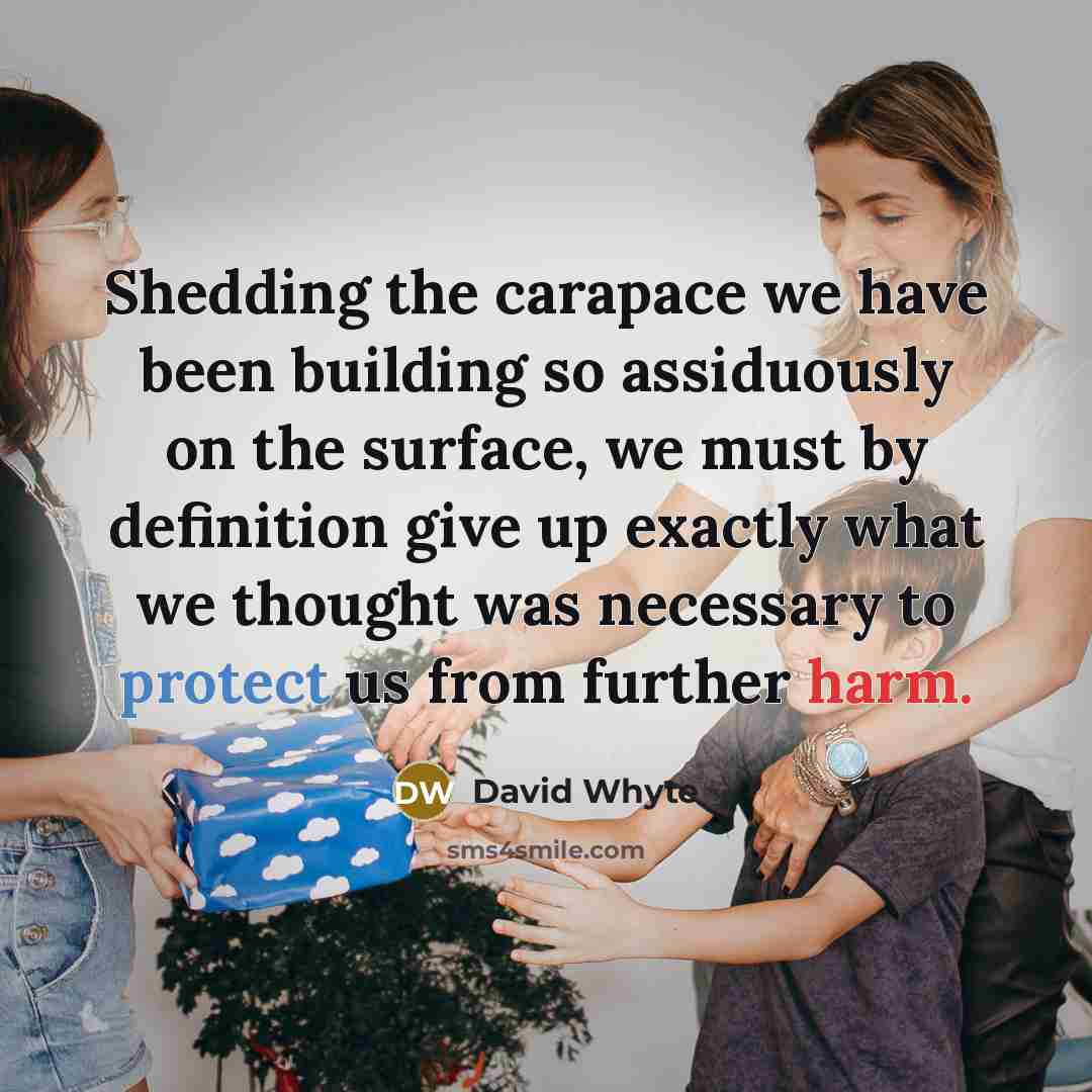 “Shedding the carapace we have been building so assiduously on…” quote by David Whyte