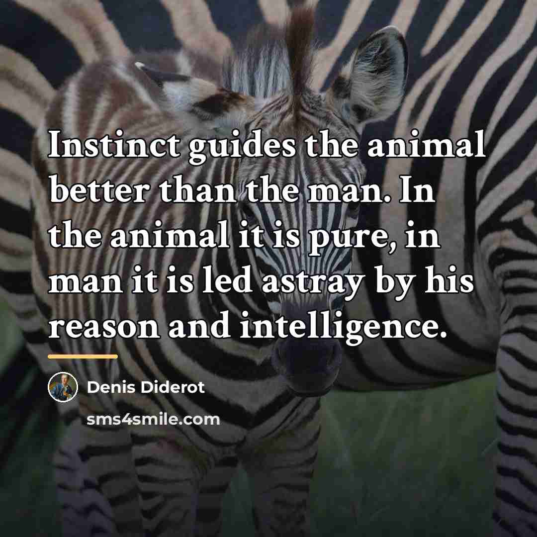 “Instinct guides the animal better than the man. In the…” quote by Denis Diderot