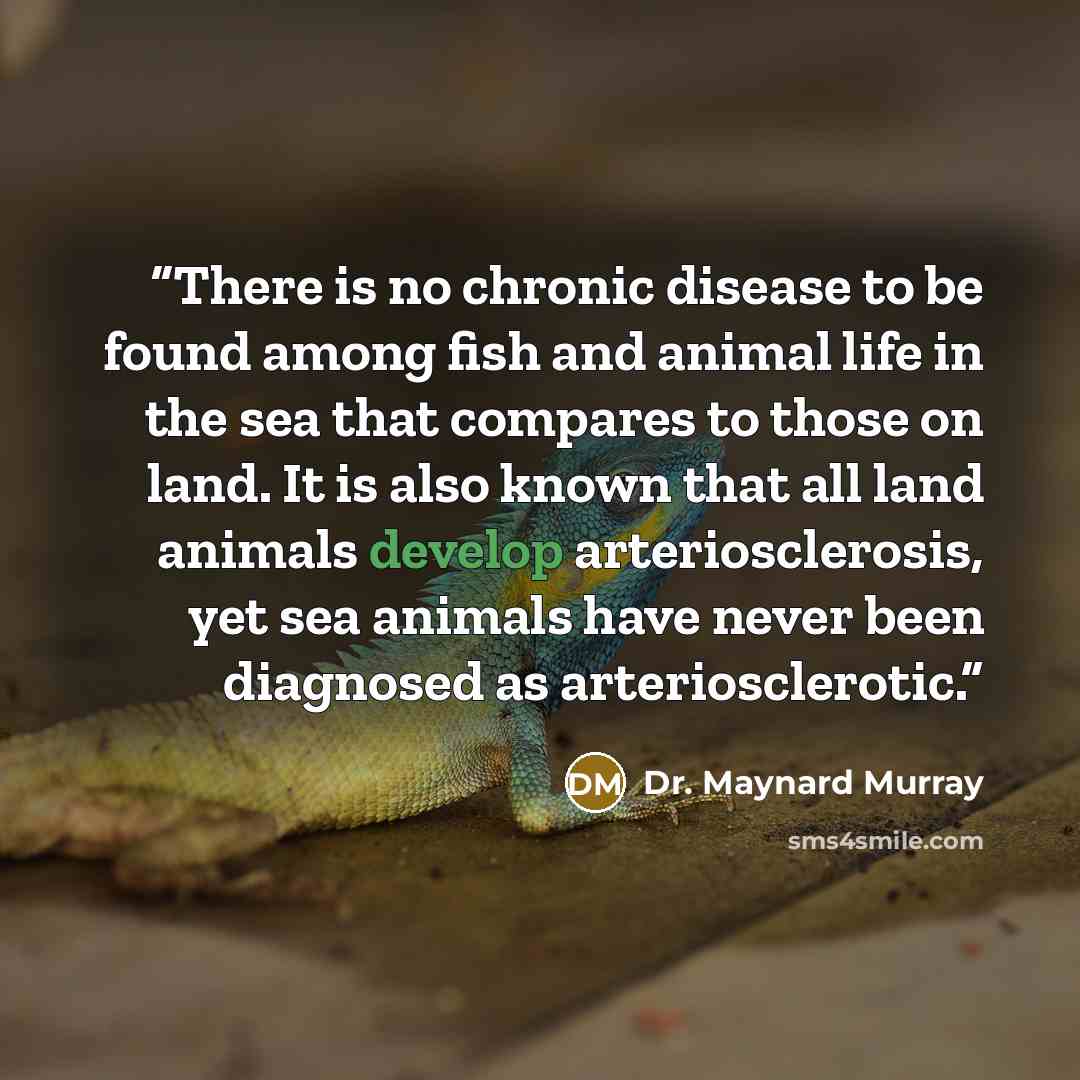 “There is no chronic disease to be found among fish and animal life in the sea that compares to those on land. It is also known that all land animals develop arteriosclerosis, yet sea animals have never been diagnosed as arteriosclerotic.” quote by Dr. Maynard Murray