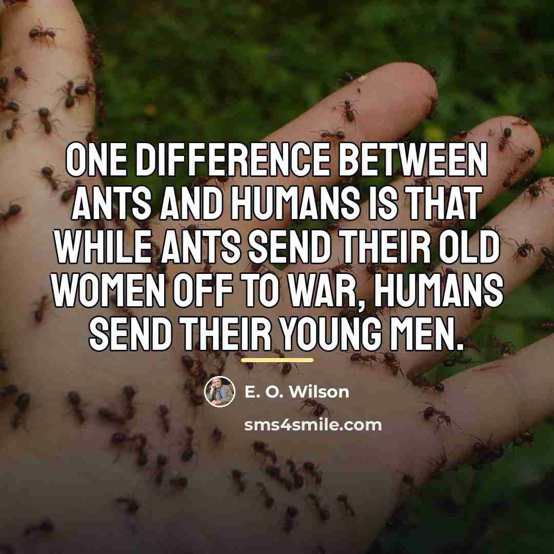 “One difference between ants and humans is that while ants…” quote by E. O. Wilson