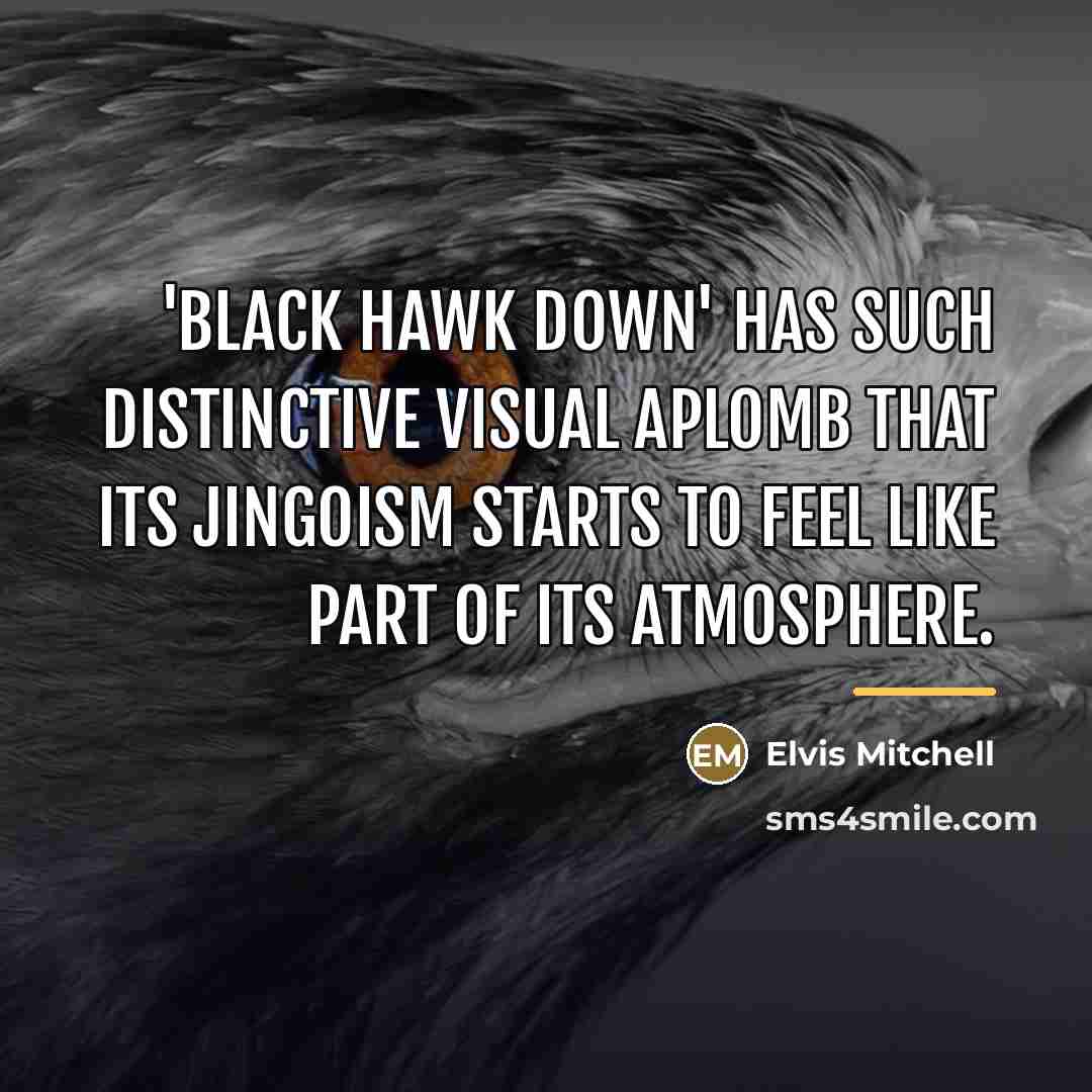 “'Black Hawk Down' has such distinctive visual aplomb that its…” quote by Elvis Mitchell