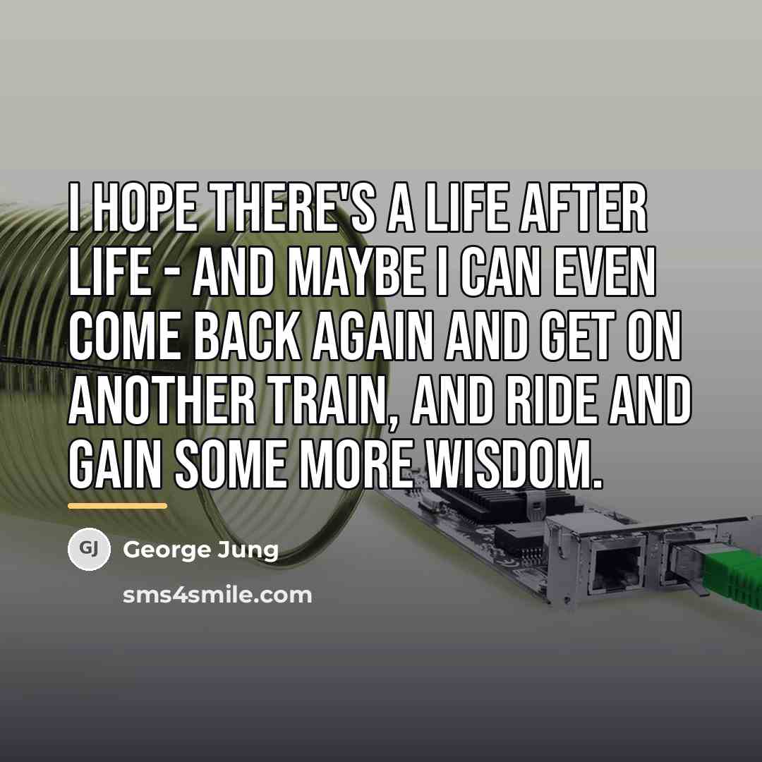 “I hope there's a life after life - and maybe…” quote by George Jung