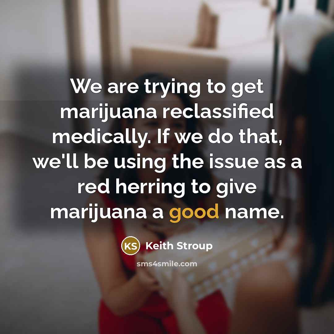 “We are trying to get marijuana reclassified medically. If we…” quote by Keith Stroup