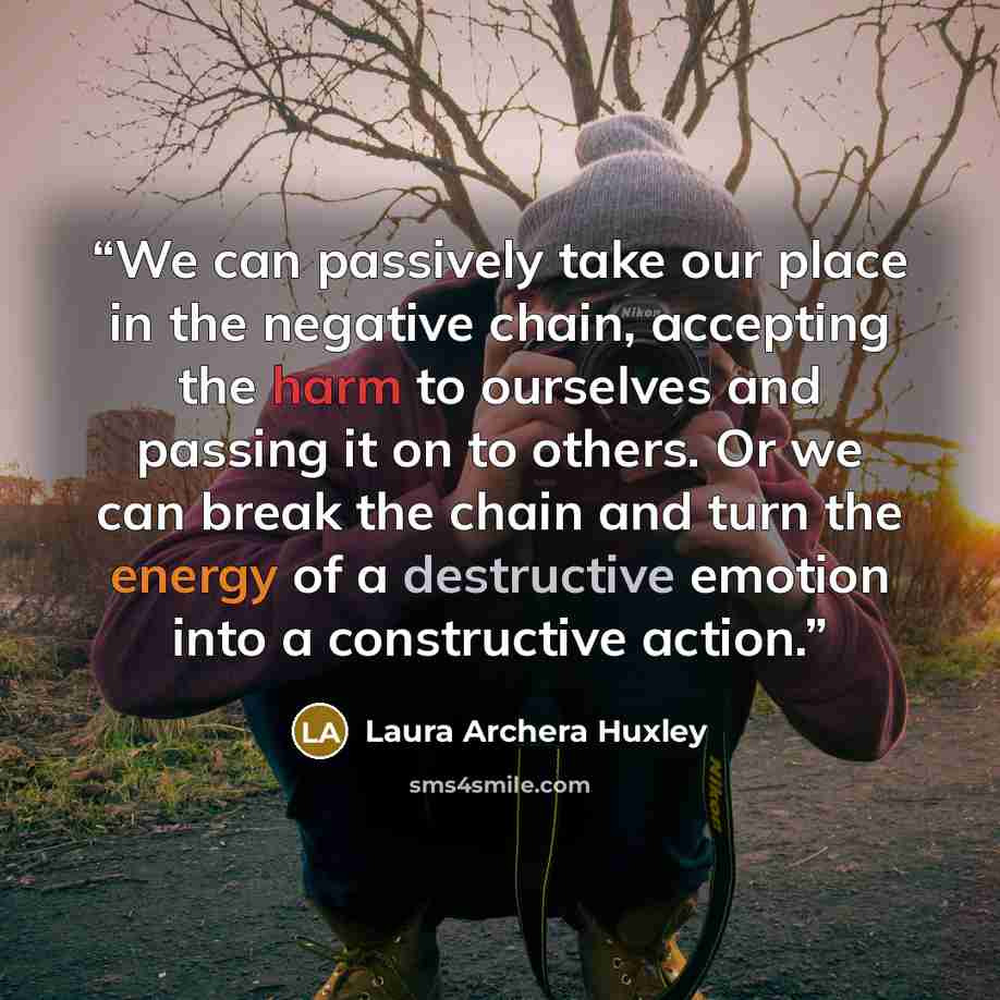 “We can passively take our place in the negative chain, accepting the harm to ourselves and passing it on to others. Or we can break the chain and turn the energy of a destructive emotion into a constructive action.” quote by Laura Archera Huxley