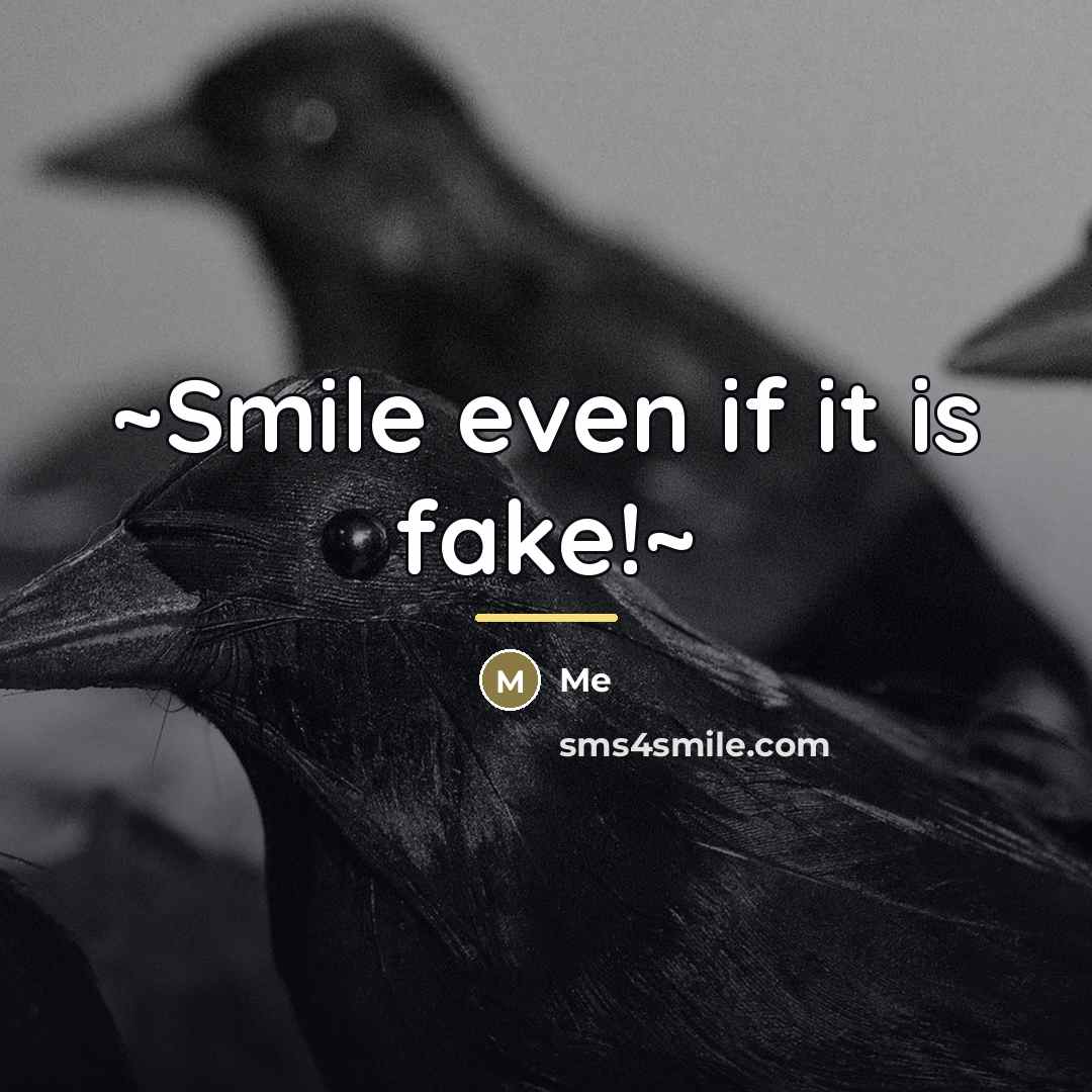“~Smile even if it is fake!~…” quote by Me