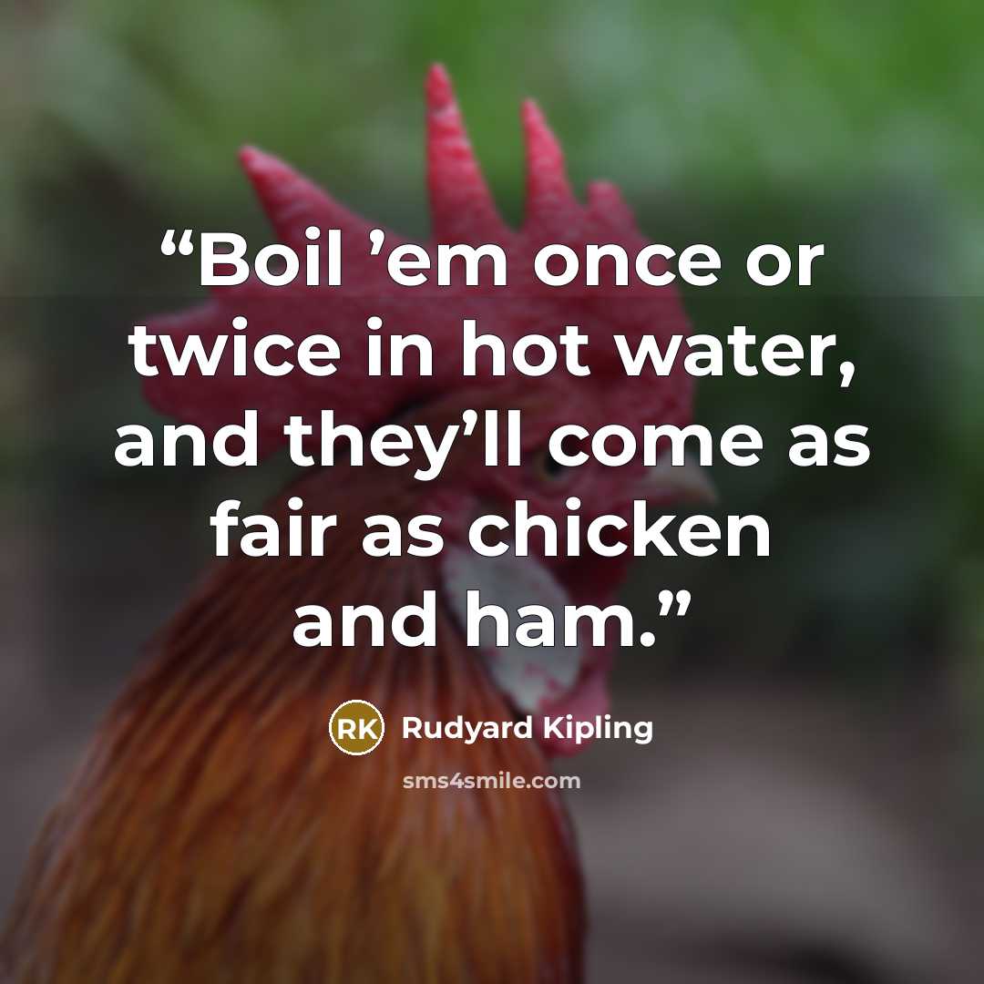 “Boil ’em once or twice in hot water, and they’ll come as fair as chicken and ham.” quote by Rudyard Kipling