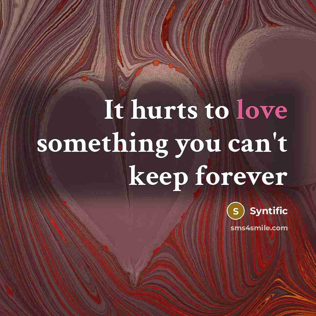 “It hurts to love something you can't keep forever…” quote by Syntific