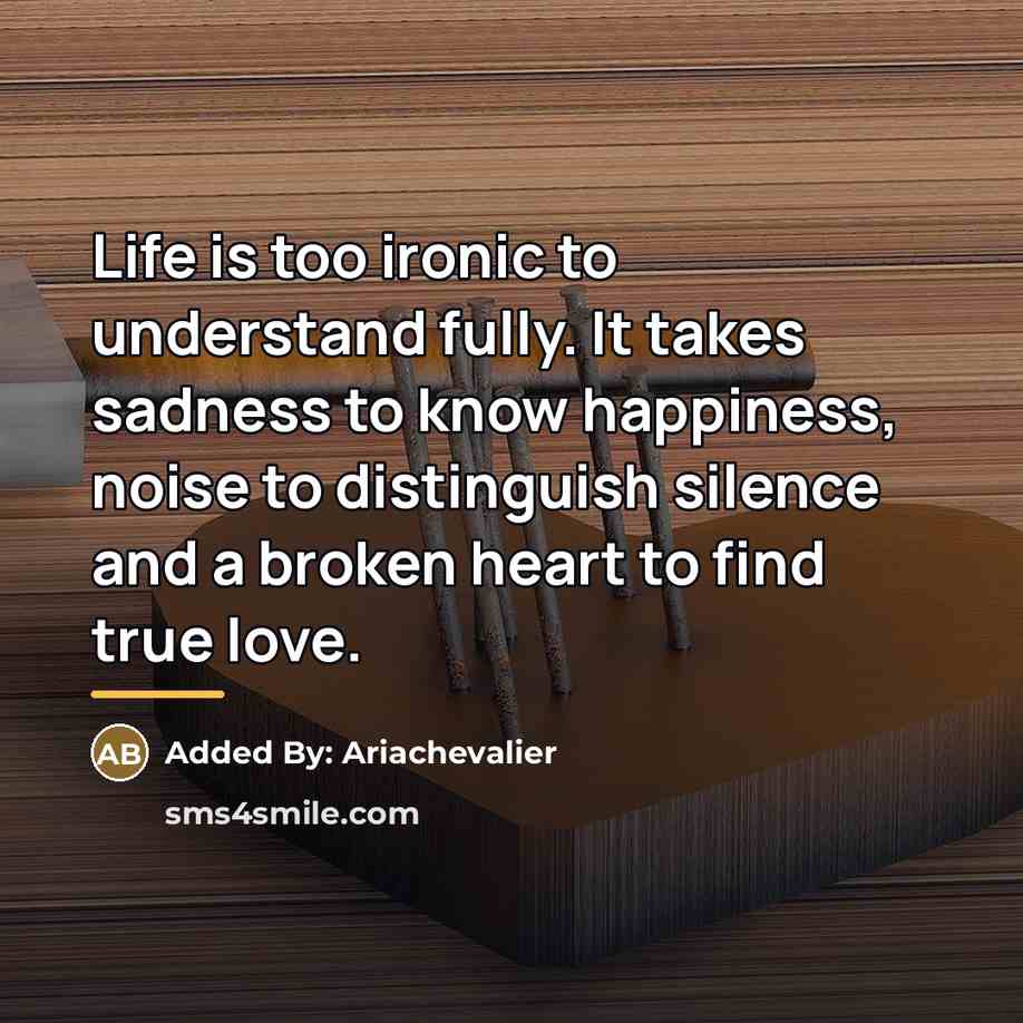 “Life is too ironic to understand fully. It takes sadness…” quote by Added By: Ariachevalier