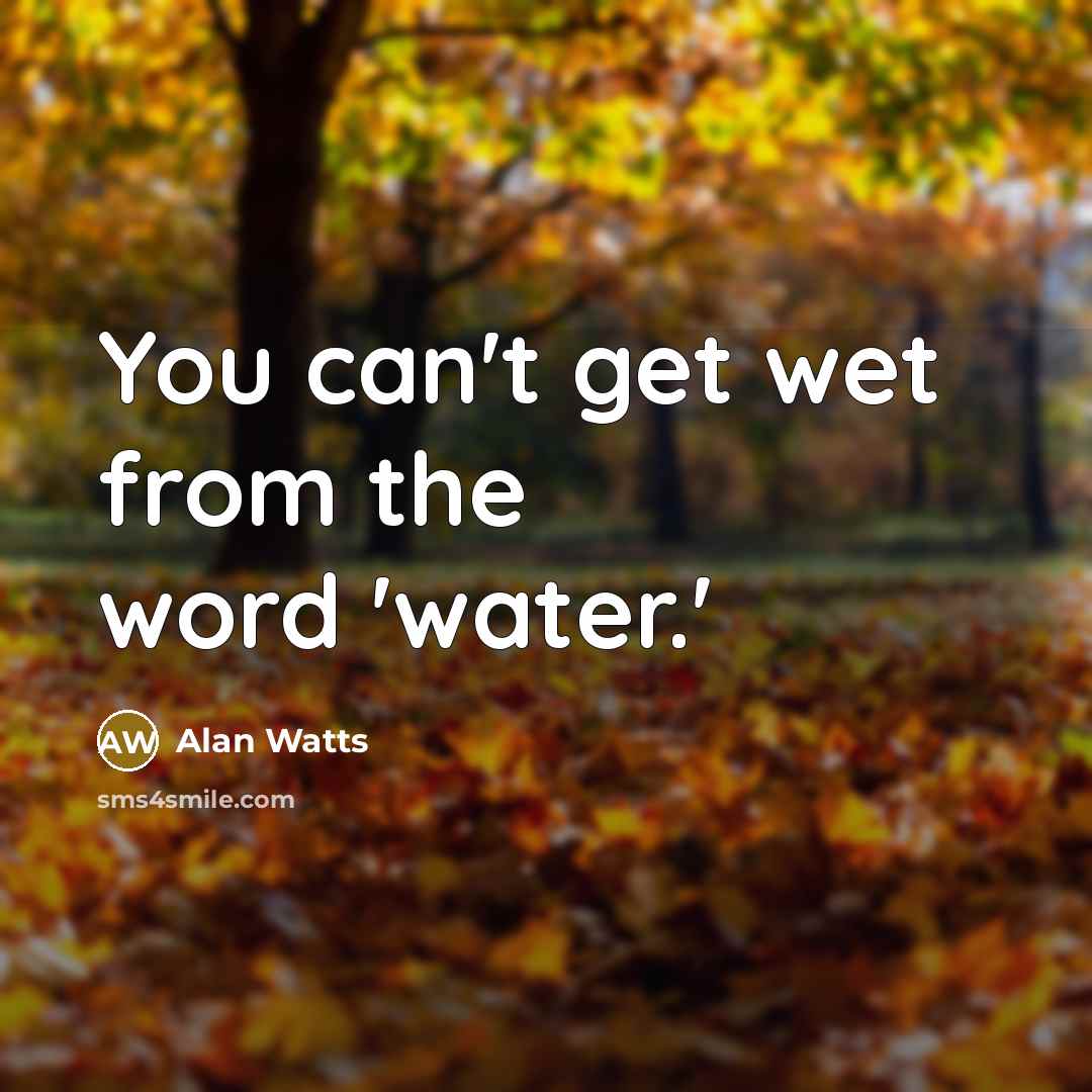 “You can't get wet from the word 'water.'…” quote by Alan Watts