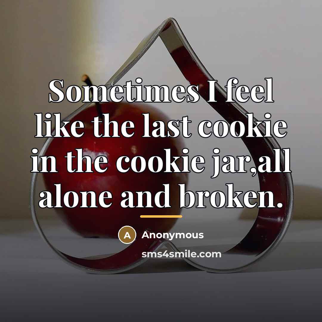 “Sometimes I feel like the last cookie in the cookie…” quote by Anonymous