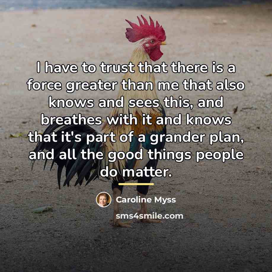 “I have to trust that there is a force greater…” quote by Caroline Myss
