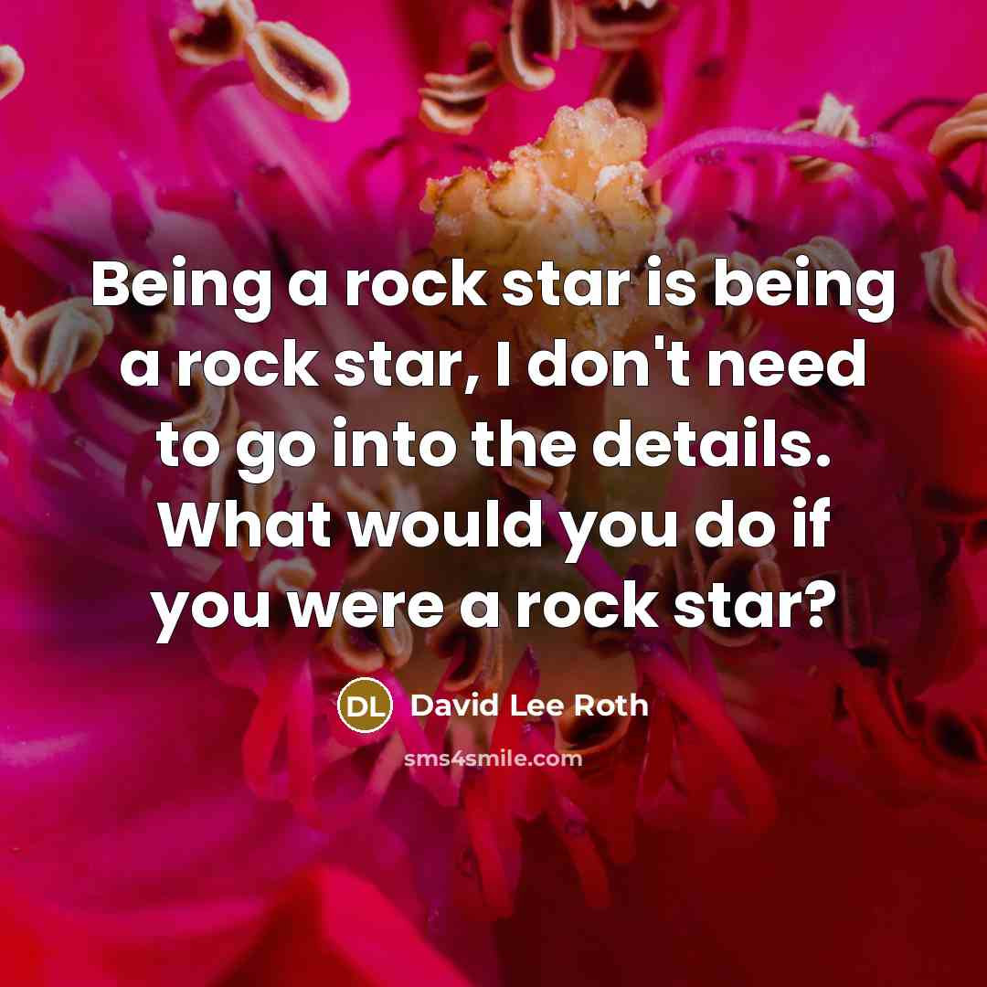 “Being a rock star is being a rock star, I…” quote by David Lee Roth
