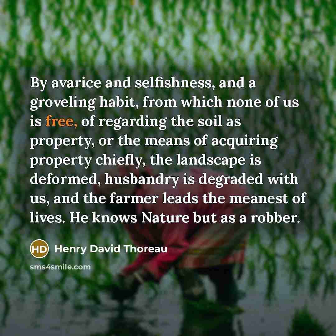 “By avarice and selfishness, and a groveling habit, from which…” quote by Henry David Thoreau