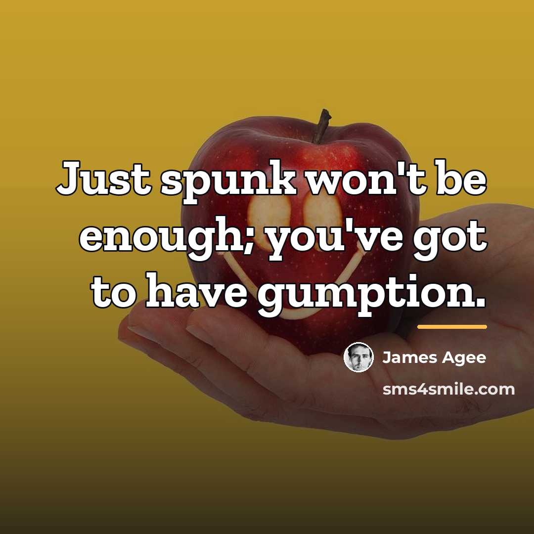 “Just spunk won't be enough; you've got to have gumption.…” quote by James Agee