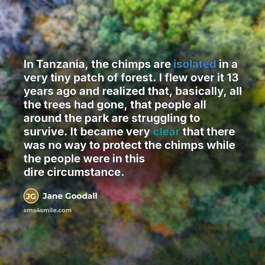 “In Tanzania, the chimps are isolated in a very tiny…” quote by Jane Goodall