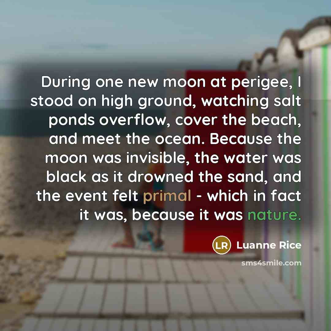 “During one new moon at perigee, I stood on high…” quote by Luanne Rice