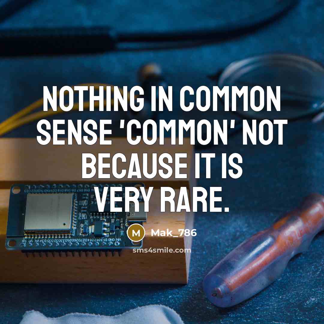 “Nothing in Common Sense 'Common' not because it is very rare.” quote by Mak_786