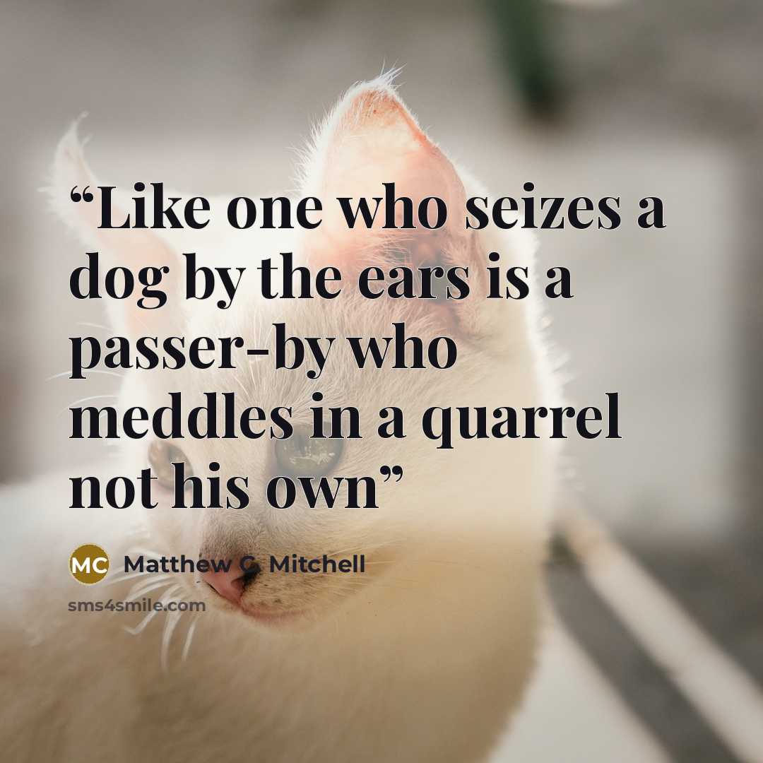 “Like one who seizes a dog by the ears is a passer-by who meddles in a quarrel not his own” quote by Matthew C. Mitchell