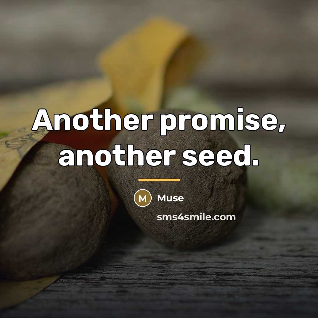 “Another promise, another seed.…” quote by Muse