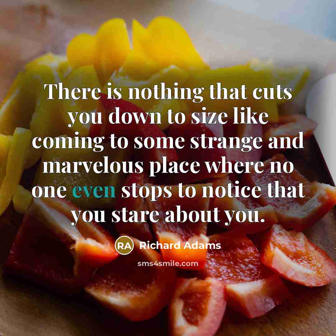 “There is nothing that cuts you down to size like…” quote by Richard Adams
