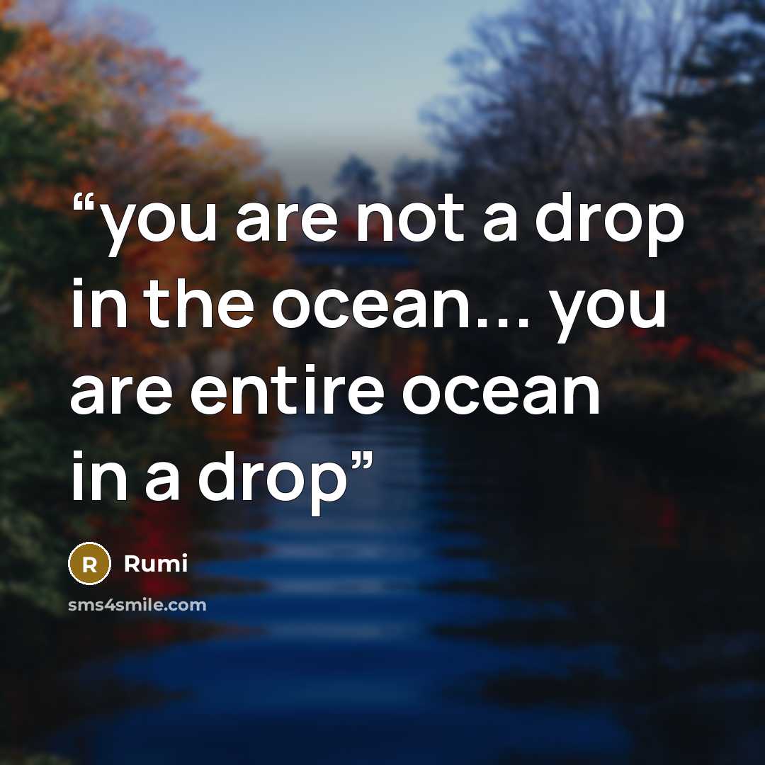 “you are not a drop in the ocean... you are entire ocean in a drop” quote by Rumi