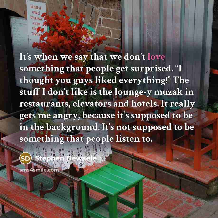 “It’s when we say that we don’t love something that…” quote by Stephen Dewaele
