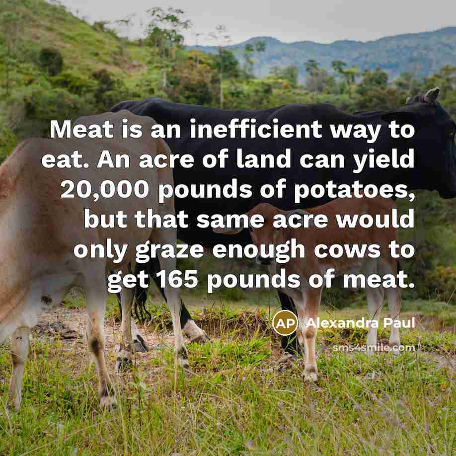 “Meat is an inefficient way to eat. An acre of…” quote by Alexandra Paul