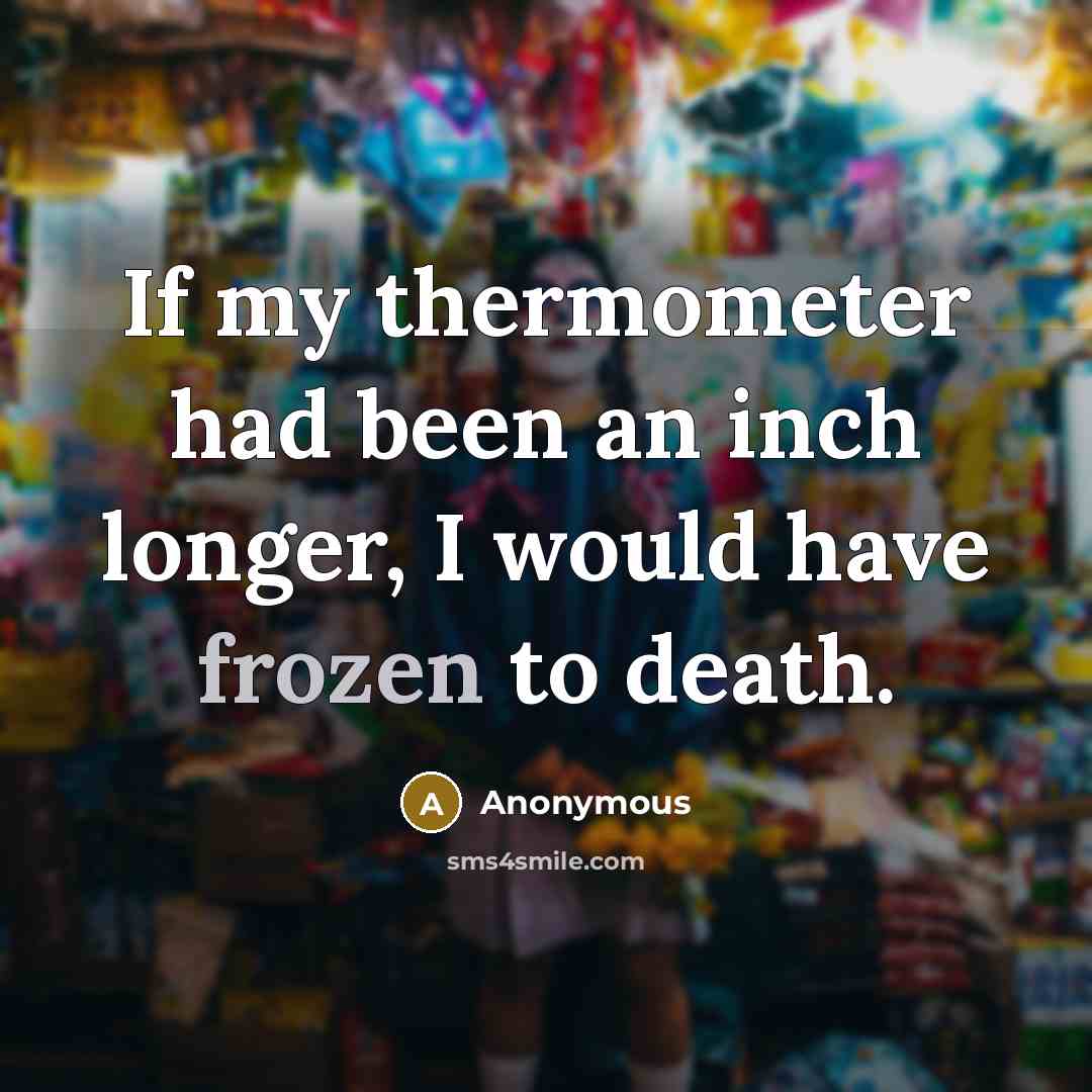 “If my thermometer had been an inch longer, I would…” quote by Anonymous