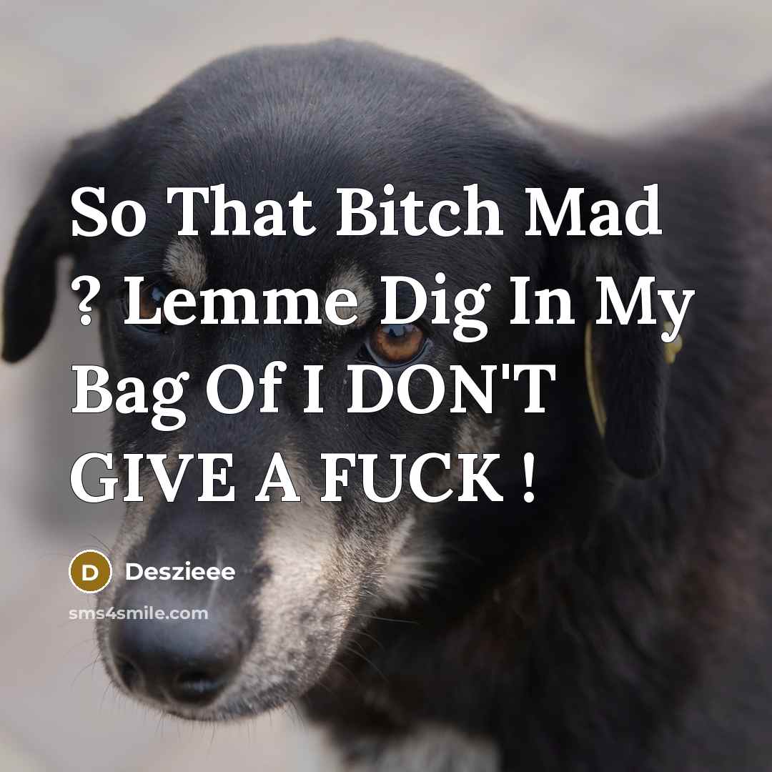 “So That Bitch Mad ? Lemme Dig In My Bag Of I DON'T GIVE A FUCK !” quote by Deszieee