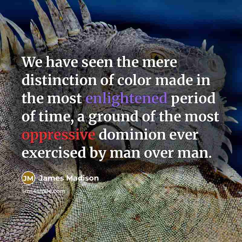 “We have seen the mere distinction of color made in…” quote by James Madison