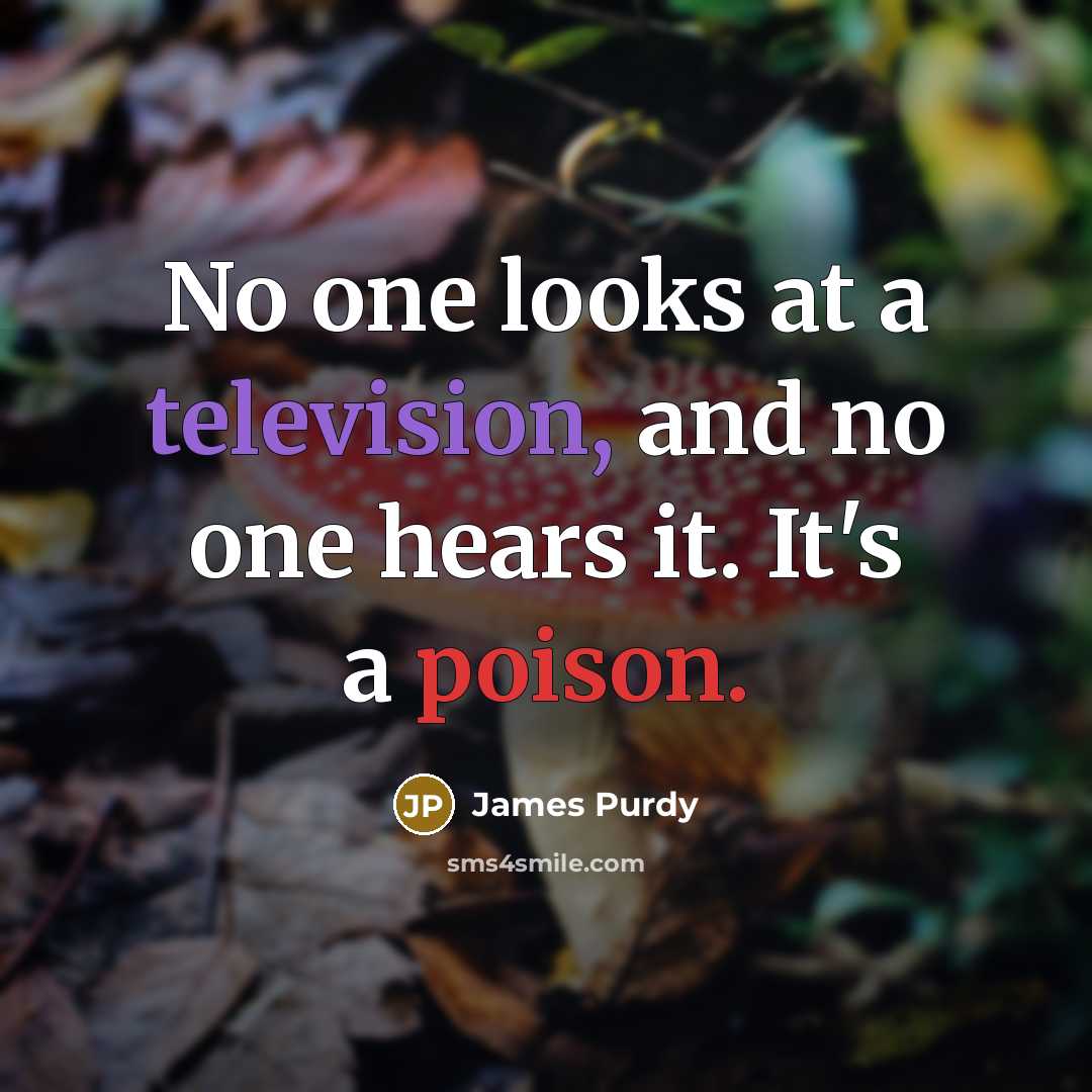 “No one looks at a television, and no one hears it. It's a poison.” quote by James Purdy