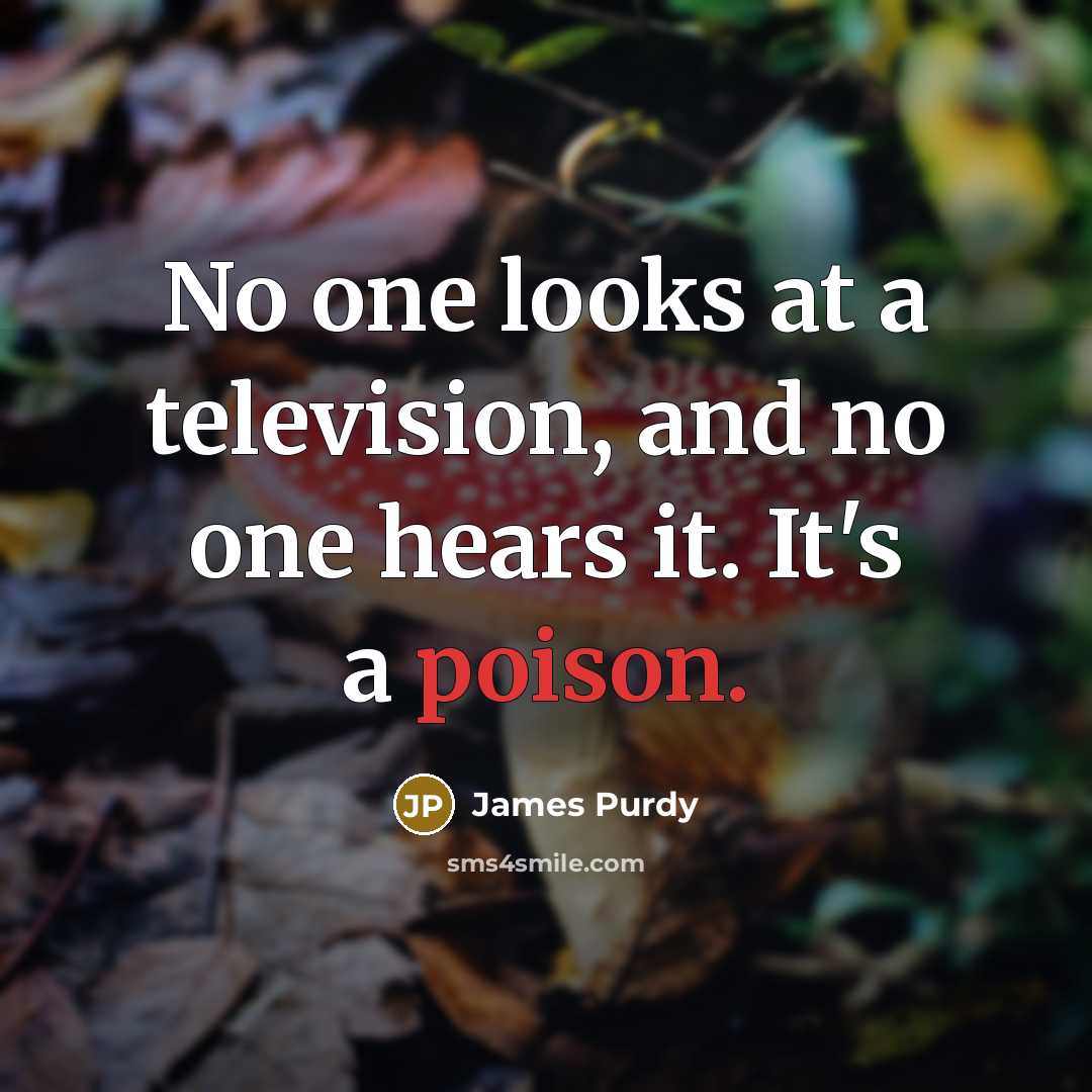 “No one looks at a television, and no one hears…” quote by James Purdy