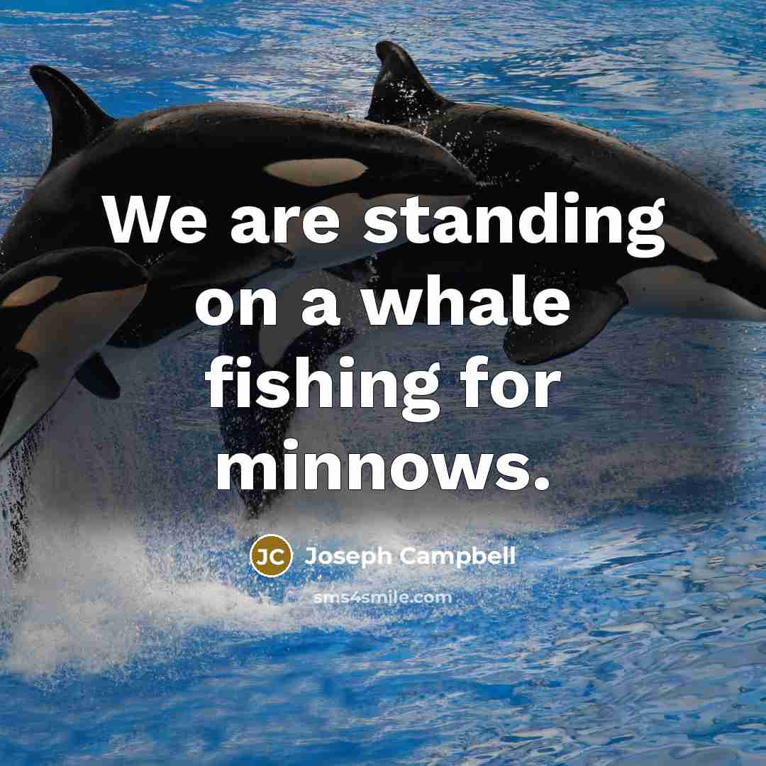 “We are standing on a whale fishing for minnows.” quote by Joseph Campbell