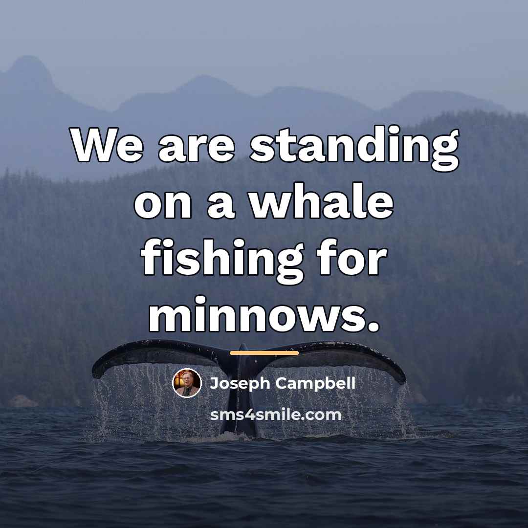 “We are standing on a whale fishing for minnows.…” quote by Joseph Campbell