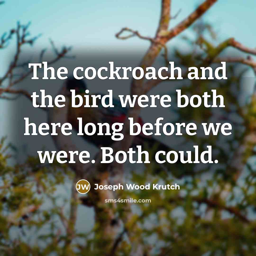 “The cockroach and the bird were both here long before…” quote by Joseph Wood Krutch