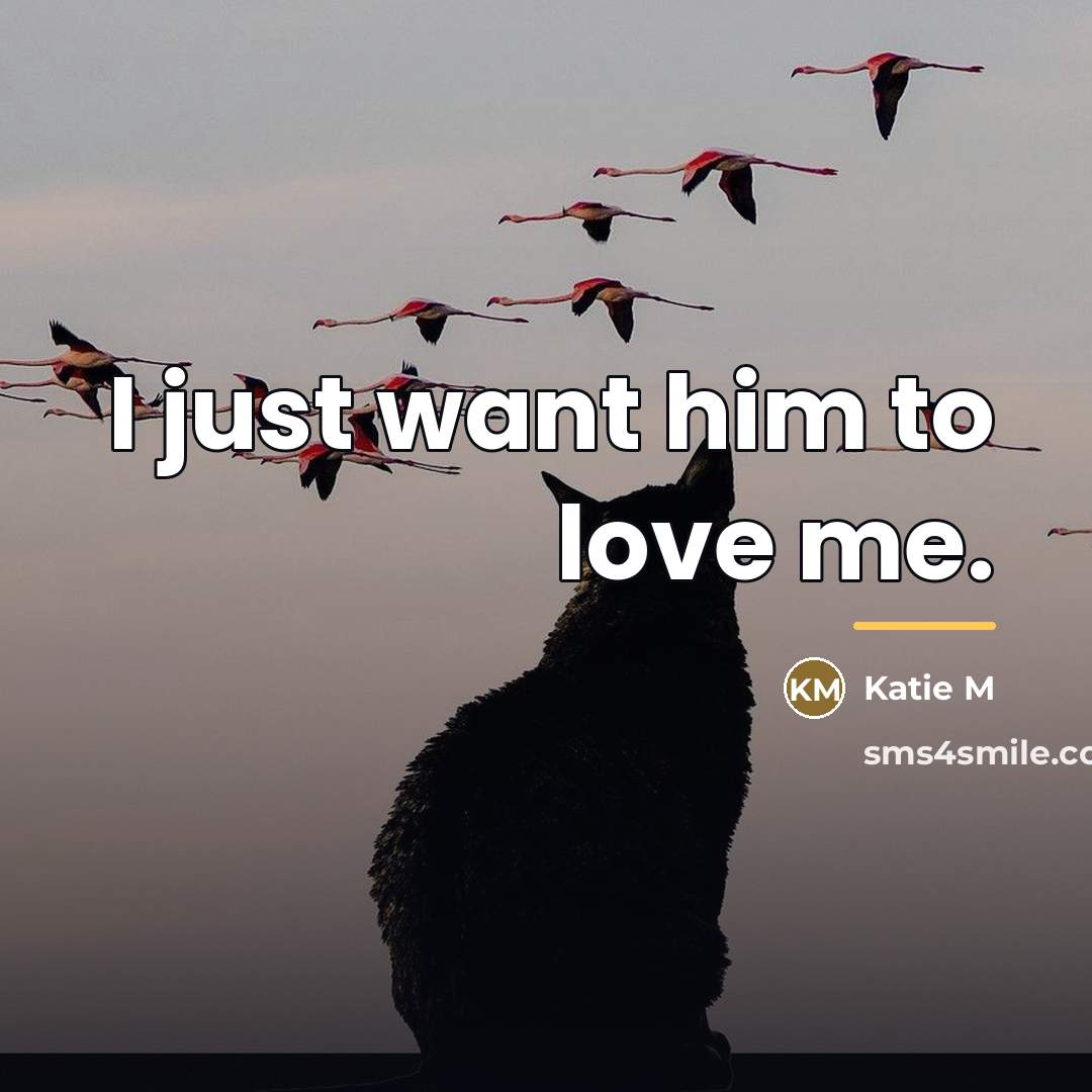 “I just want him to love me.…” quote by Katie M