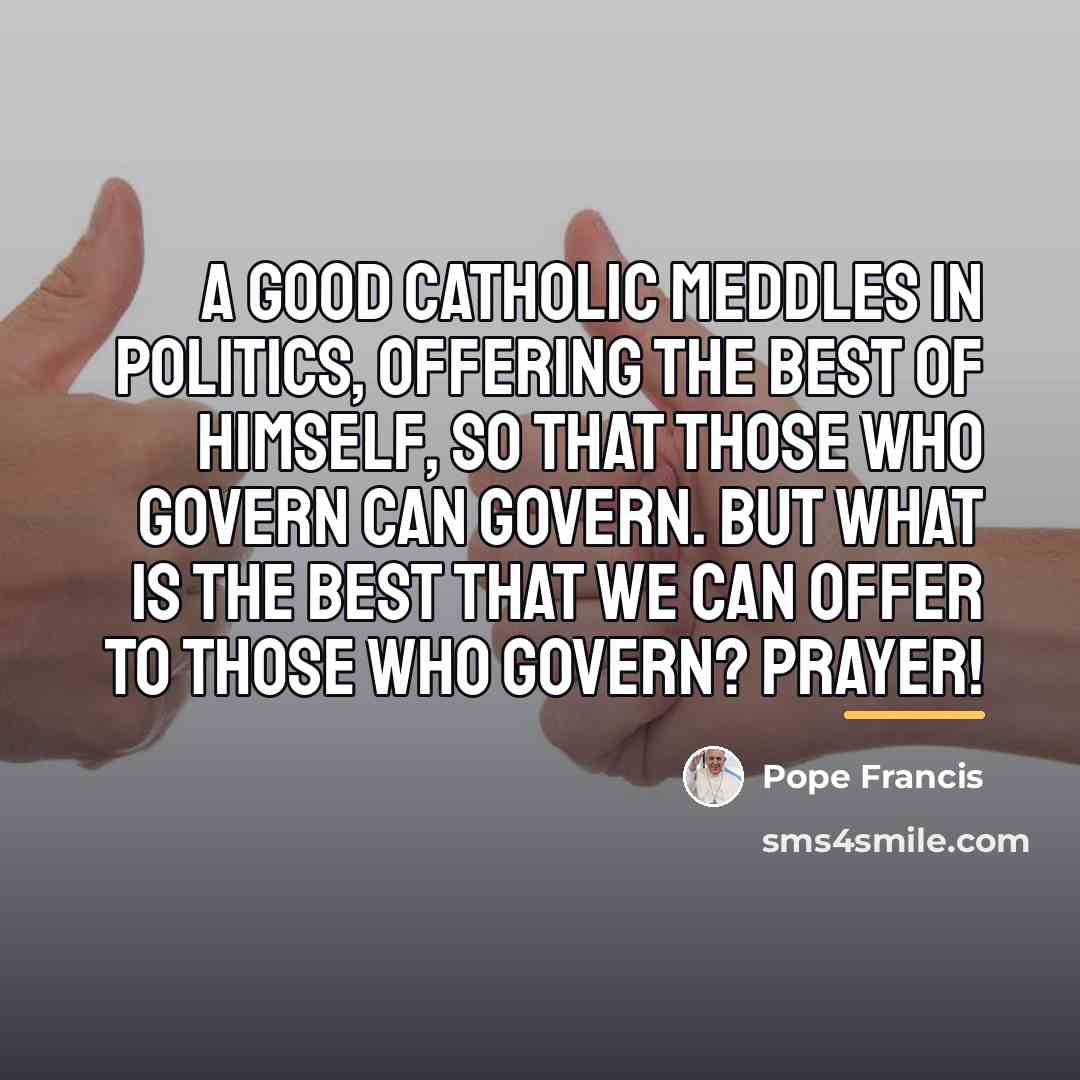 “A good Catholic meddles in politics, offering the best of…” quote by Pope Francis