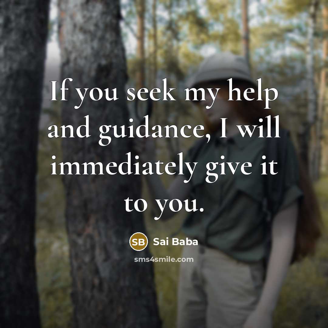 “If you seek my help and guidance, I will immediately…” quote by Sai Baba