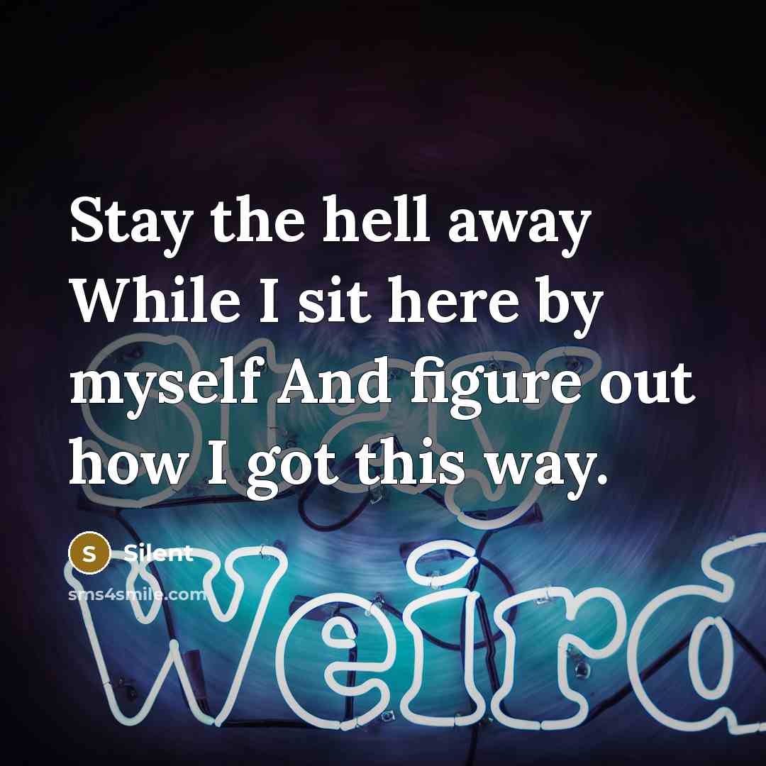 “Stay the hell away While I sit here by myself And figure out how I got this way.” quote by Silent