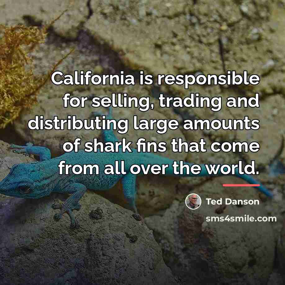 “California is responsible for selling, trading and distributing large amounts…” quote by Ted Danson
