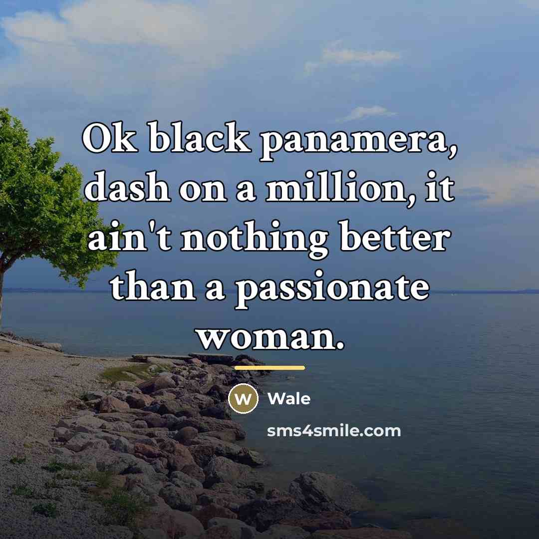 “Ok black panamera, dash on a million, it ain't nothing…” quote by Wale