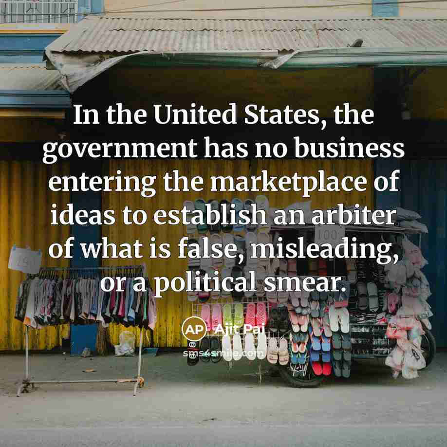 “In the United States, the government has no business entering…” quote by Ajit Pai