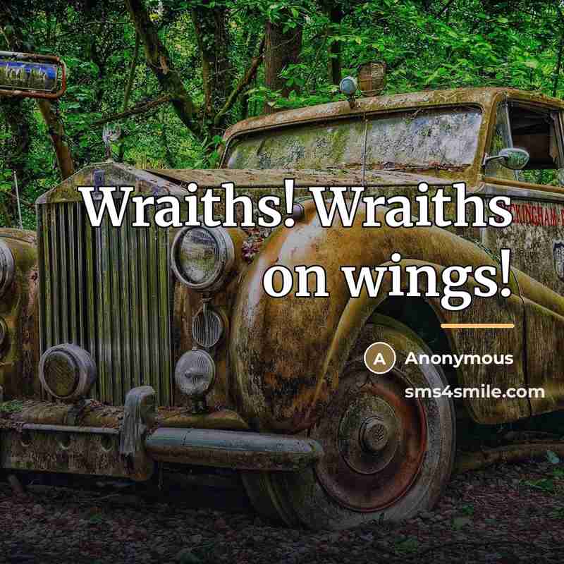 “Wraiths! Wraiths on wings!…” quote by Anonymous