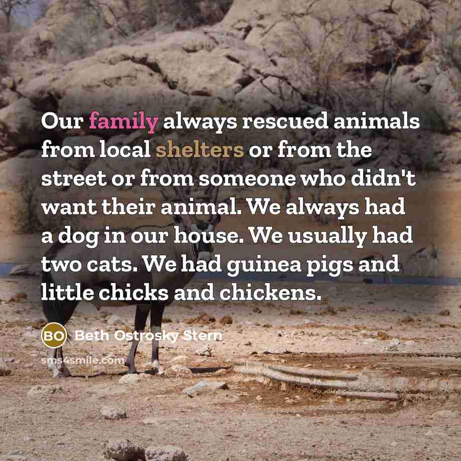 “Our family always rescued animals from local shelters or from the street or from someone who didn't want their animal. We always had a dog in our house. We usually had two cats. We had guinea pigs and little chicks and chickens.” quote by Beth Ostrosky Stern